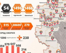 COVID-19 в области диагностировали у 53 человек