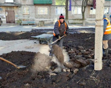 Коммунальщики просят авдеевцев не портить новый газон