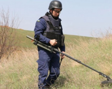 В Донецкой области уничтожили снаряды и мину