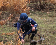 В Авдеевке нашли взрывоопасные предметы