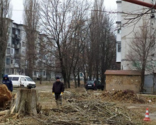 Осторожно! В Авдеевке пилят деревья (ФОТОФАКТ)