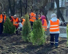 В Авдіївці комунальники озеленяють вулиці самшитом та ялівцем