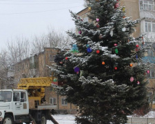 В Авдеевке раздели зеленых красавиц (ФОТОФАКТ)