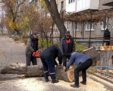 Авдіївці пільгових категорій можуть отримати дрова