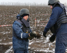 На Донетчине уничтожили новую порцию ВОП