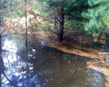 В курортной зоне Донетчины неизвестные залили землю сточными водами (ФОТО)