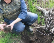 Спасатели за неделю  уничтожили более 300 опасных боеприпасов на Донетчине