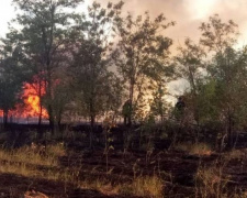 Донетчина пылает, чрезвычайный уровень пожарной опасности сохраняется