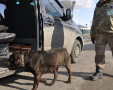 Через донбасские КПВВ не пропустили более 150 человек