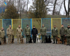 На Донетчине появились необычные «спецназовцы» с дипломом: опубликованы фото