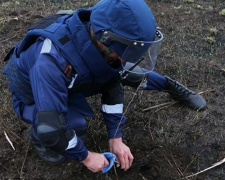 На Донеччині під час розмінування у «сірій зоні» загинув піротехник ДСНС