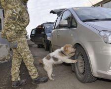 В КПВВ «Майорское» изъяли боеприпасы