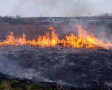 С начала года в Донецкой области произошло более 300 пожаров в природных экосистемах