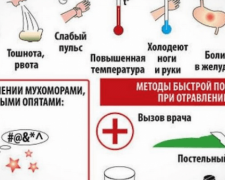 Грибной удар: как не стать жертвой отравления и как бороться с его последствиями