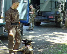 В Авдіївці пройшли антитерористичні навчання (ВІДЕО)