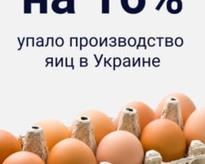 В Украине становится все меньше яиц: какая цена станет для авдеевцев