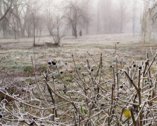 В Авдеевке -3°С: город покрыт инеем и туманом. ФОТОФАКТ