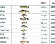 В Украине в сотни раз увеличили штрафы за незаконный вылов раков и рыбы