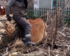 Комунальники Авдіївки проводять санітарку обрізку та видалення аварійних дерев