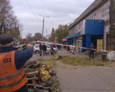 Коммунальщики спилили дерево в центре Авдеевки:  многие горожане недовольны (ФОТО)