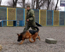 Четвероногие помощники находят на Донетчине оружие и взрывчатку (ФОТО)