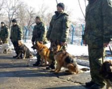 Донетчина встретит Год Собаки под охраной собак из 8 областей: смотрите фото