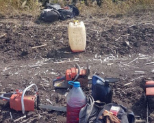 «Черные» лесорубы уничтожили в Донецкой области деревьев на 4 млн гривен