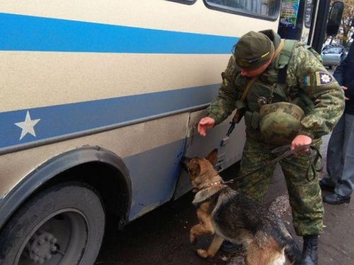 В Покровской оперзоне полиция изъяла 18 гранат и другие опасные "сувениры" (ФОТО)