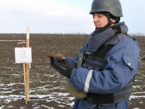 Пиротехники метр за метром очищают Донетчину от мин, гранат и артснарядов