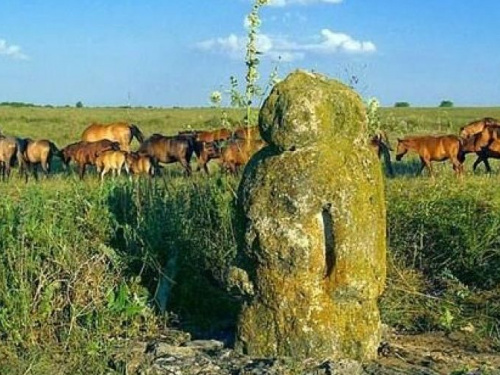 В Донецкой области объявлен большой  краеведческий конкурс  "Донетчина.UA"