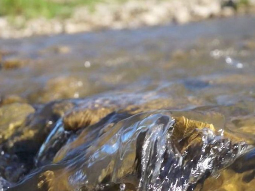 В Донецкой области в режиме онлайн будут отслеживать качество воды в реках