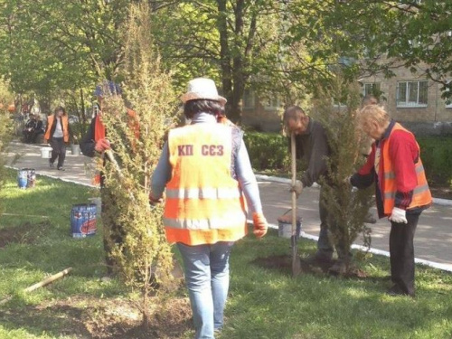 В Авдеевке высаживают «зеленые подарки»: опубликованы фото