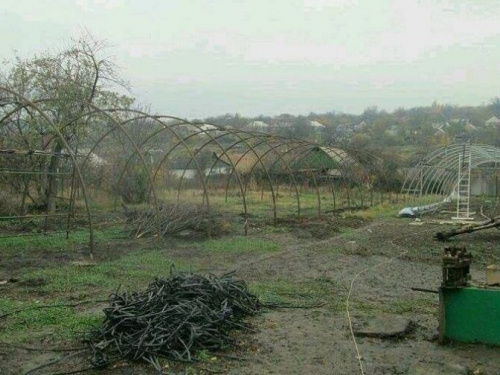 Авдеевские куркули сделали ставку на теплицы (ФОТО)