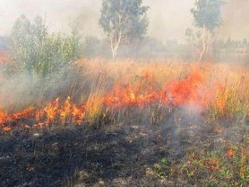 В Донецкой области повысилась опасность возгорания