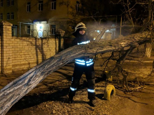 Шквальный ветер валил деревья в Донецкой области (ФОТО)