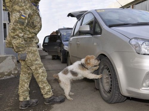 В КПВВ «Майорское» изъяли боеприпасы