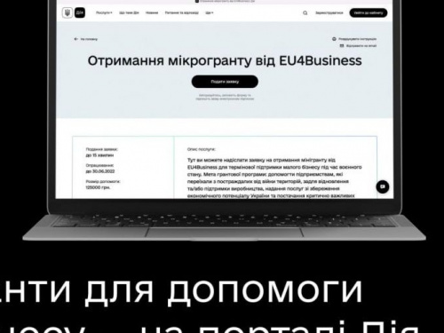 Гранти для допомоги бізнесу в «Дії»: хто з авдіївських підприємців може отримати допомогу