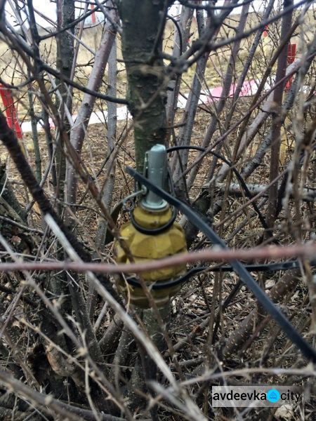 В Донецкой области уничтожили более трехсот боеприпасов (ФОТО)