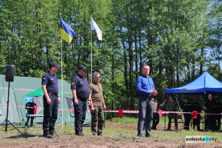 В Донецкой области 16 единиц техники и более 50 спасателей тушили лесной «пожар» (ФОТО)