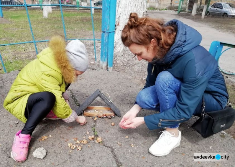 В Авдіївці пройшов екологічний пікнік «З любов’ю до природи»