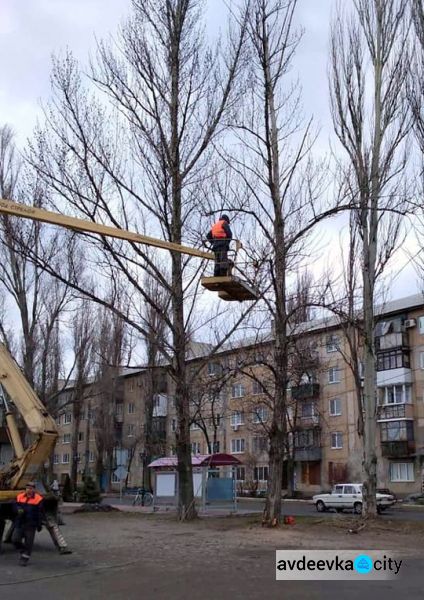 Комунальники Авдіївки проводять санітарку обрізку та видалення аварійних дерев