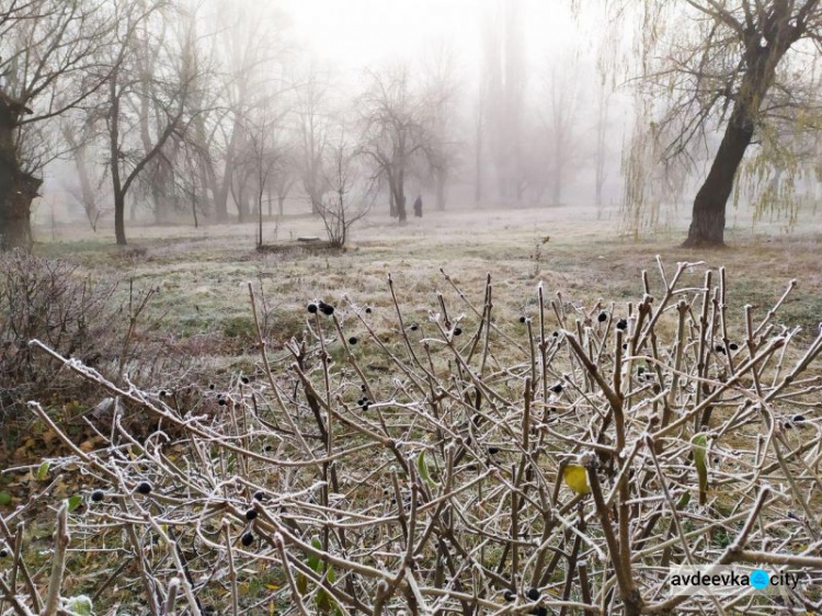 В Авдеевке -3°С: город покрыт инеем и туманом. ФОТОФАКТ