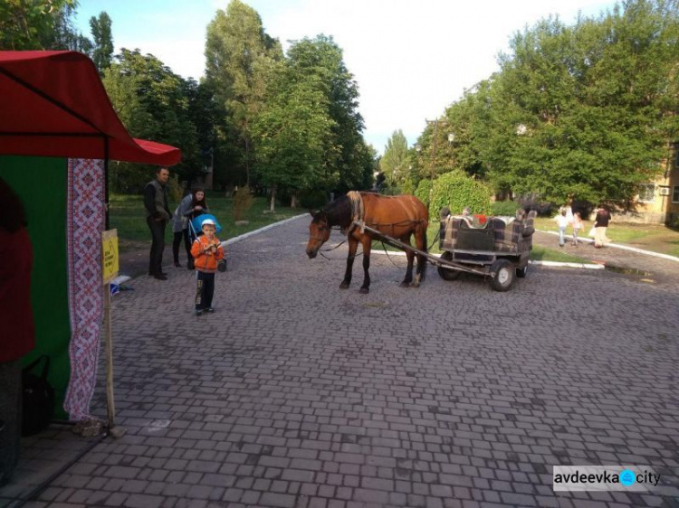 Авдеевка попала в плен уличной музыки (ФОТО)