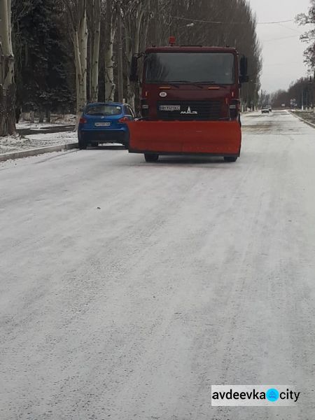 В Авдеевке спасают деревья от морозов (ФОТОФАКТ)