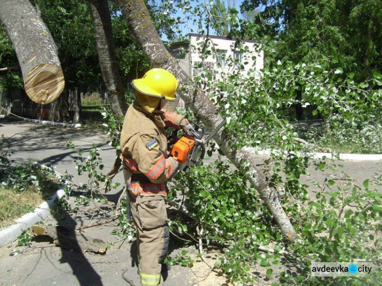 Удар стихии: на Донбассе сражались с поваленными деревьями