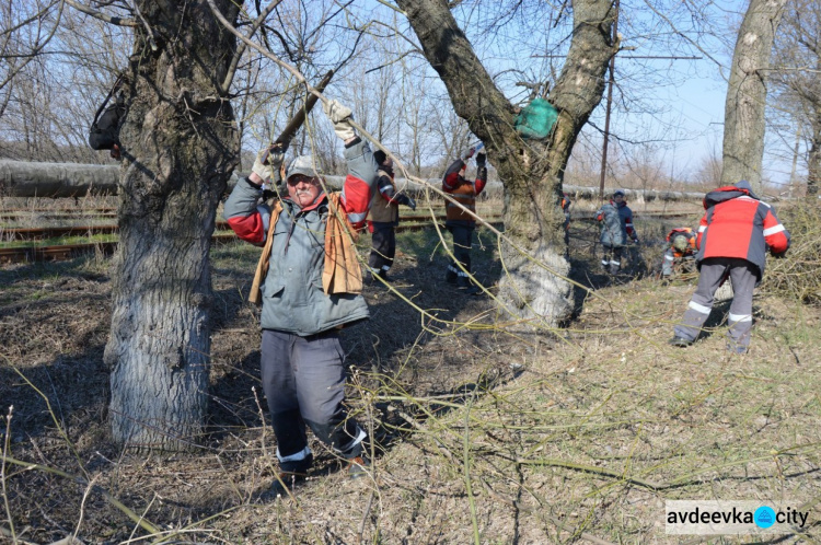 В Авдеевке расчистят дорогу для велосипедистов (ФОТО)