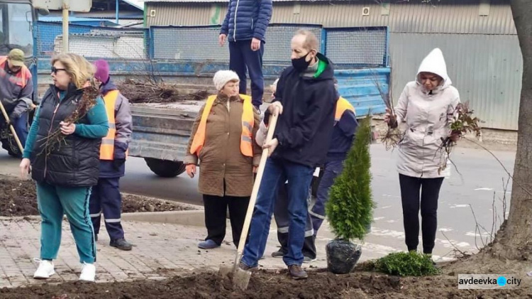 Авдіївці приєдналися до екологічного проекту «Озеленення планети» (ФОТОФАКТ)