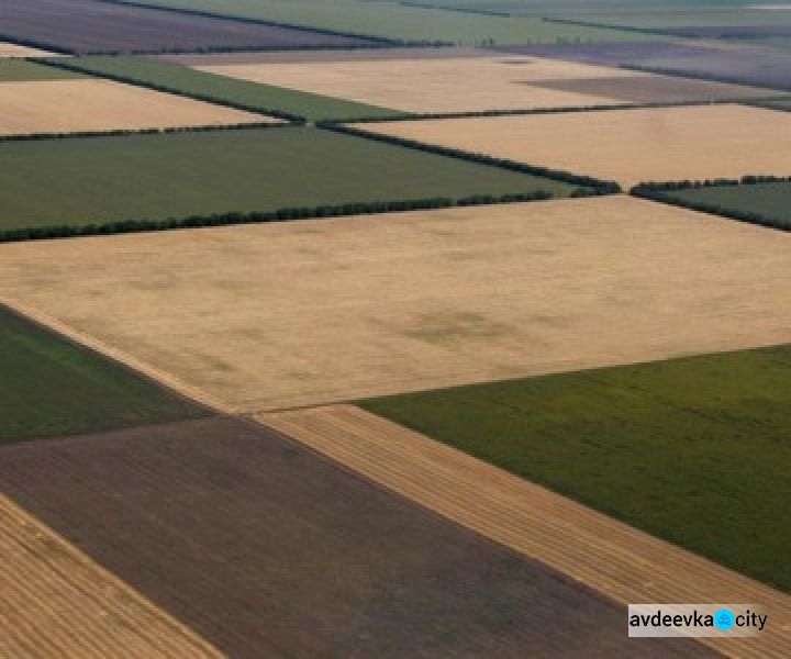 В Украине создана база данных состояния почв