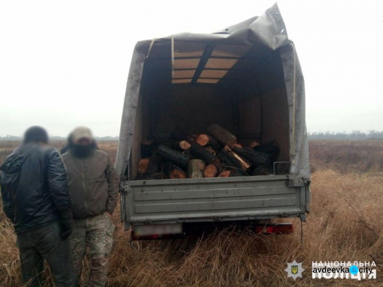 Полицейские выявили трех "черных лесорубов" из Авдеевки  (ФОТО)