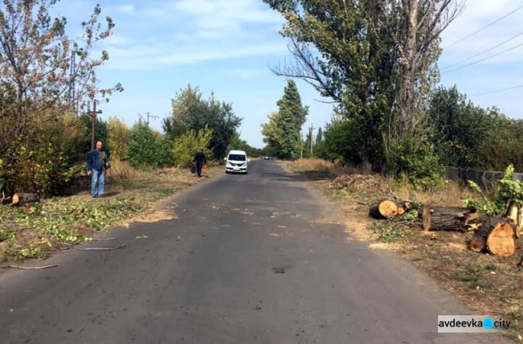 Коммунальная служба Авдеевки оперативно убрала с дороги упавшее дерево